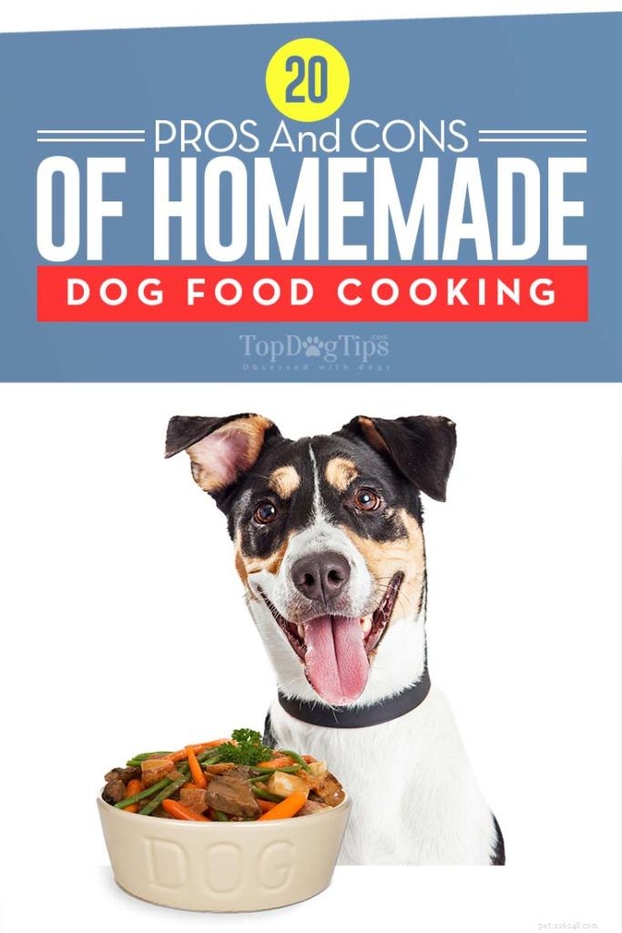 Homemade Dog Food Explained: 20 Benefits, Drawbacks, and Myths Debunked