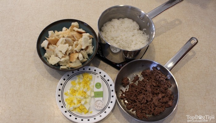 Safe Homemade Dog Food Recipe for Kidney Failure Care