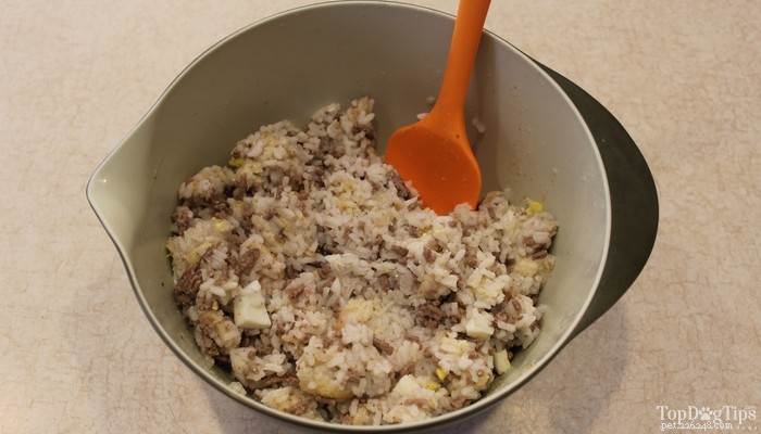 Safe Homemade Dog Food Recipe for Kidney Failure Care