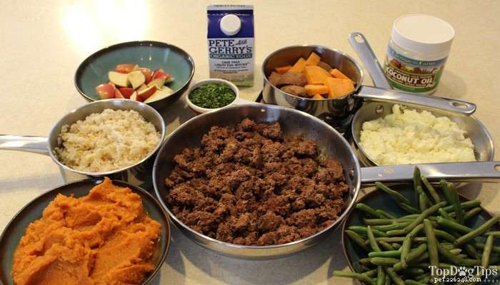Homemade Kidney‑Disease Dog Food: Simple, Quick, and Vet‑Approved
