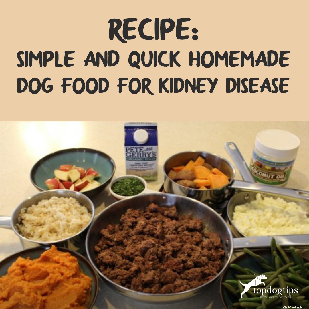 Homemade Kidney‑Disease Dog Food: Simple, Quick, and Vet‑Approved