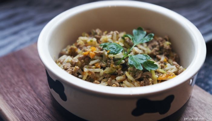 Create Nutritious Homemade Dog Food: Step‑by‑Step Video Tutorial