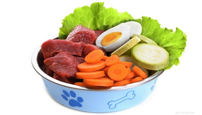 Create Nutritious Homemade Dog Food: Step‑by‑Step Video Tutorial