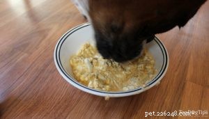 Easy Homemade Dog Food Recipe to Support Dogs with Liver Disease