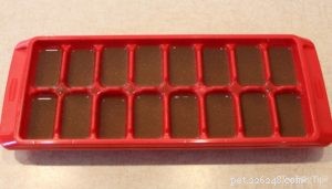 DIY Flea-Prevention Dog Treats: A Safe, Homemade Recipe
