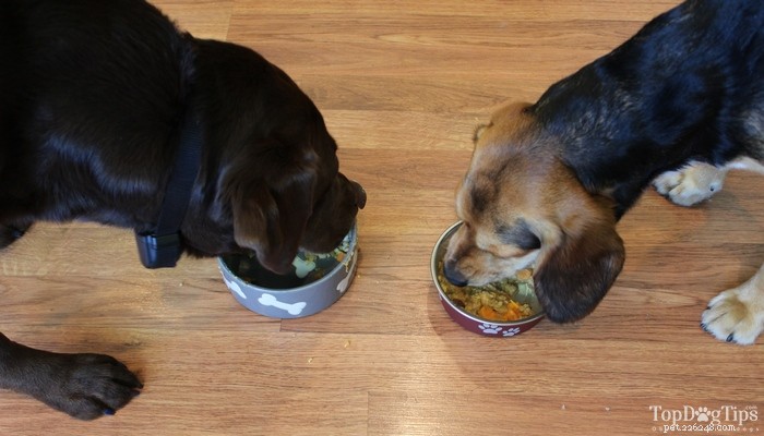Homemade Vegan Dog Food Recipe: Nutritious & Vet-Approved