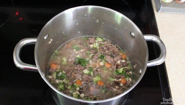 Homemade Venison & Vegetable Stew – Nutritious Dog Food