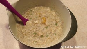 Vet‑Approved Homemade Dog Food Recipe – Tailored Nutrition for Your Pup