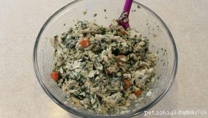 Homemade Dog Food for Sensitive Stomachs: Gentle, Nutritious Meals