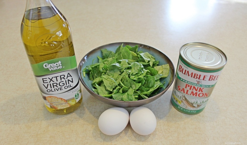 Homemade Wet Dog Food: Nutritious, Easy, and Cost-Effective