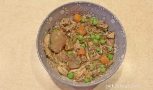 Balanced Homemade Dog Food: A Nutritious Recipe for Your Pet