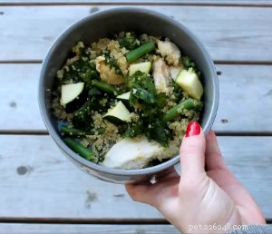 Homemade Chicken & Greens Skillet Dog Food: A Vet‑Approved, Nutritious Recipe