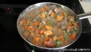 Nutritious Homemade Beef Stew for Dogs – Safe, Human-Grade Ingredients