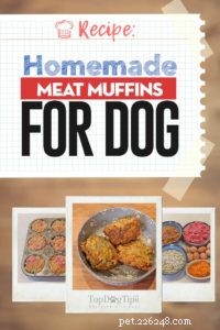 Homemade Meat Muffins for Dogs: Healthy, Tasty Treats & Meals