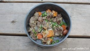 Expert-Approved Homemade Dog Food Recipes for Optimal Health