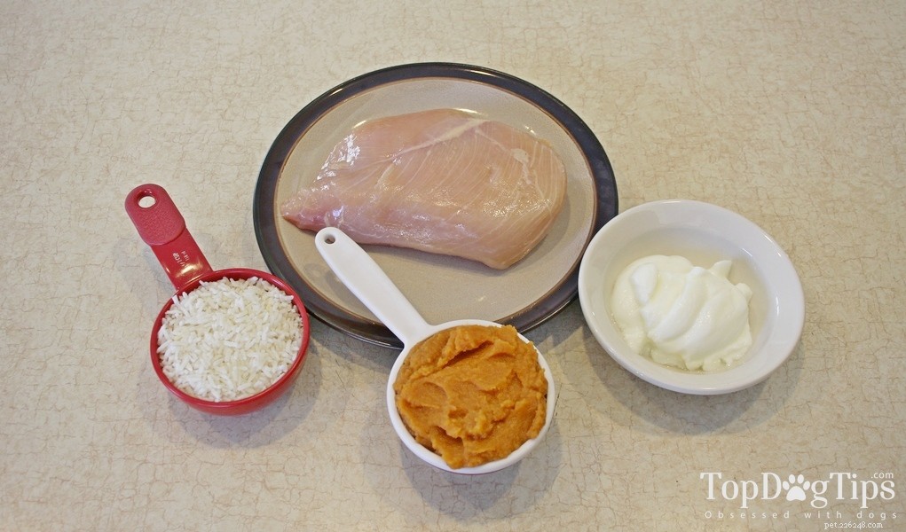 Homemade Dog Food Recipe to Calm Diarrhea