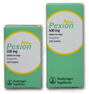 Introducing Pexion: A Breakthrough Treatment for Canine Idiopathic Epilepsy