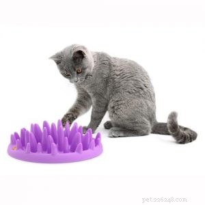 Cat Food Puzzles: Boost Indoor Cats  Health & Happiness