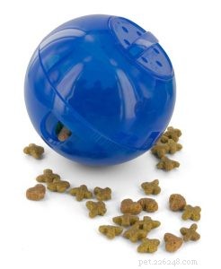 Cat Food Puzzles: Boost Indoor Cats  Health & Happiness