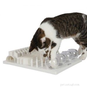 Cat Food Puzzles: Boost Indoor Cats  Health & Happiness