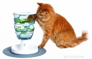 Cat Food Puzzles: Boost Indoor Cats  Health & Happiness