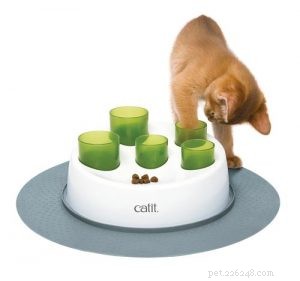 Cat Food Puzzles: Boost Indoor Cats  Health & Happiness