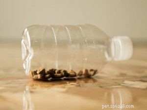 Cat Food Puzzles: Boost Indoor Cats  Health & Happiness