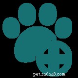 Top Nutrition Choices for Cats with Inflammatory Bowel Disease