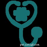 Top Nutrition Choices for Cats with Inflammatory Bowel Disease