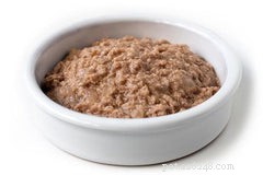 Top Nutrition Choices for Cats with Inflammatory Bowel Disease