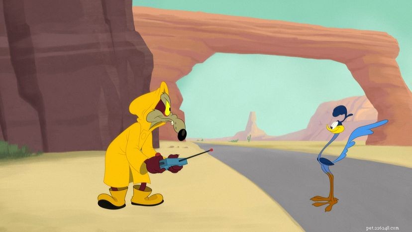 The Roadrunner s Triumph: How Speed and Smarts Beat Wile E. Coyote