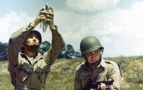 5 Remarkable Carrier Pigeon Stories That Changed History