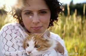 Effective Solutions for Common Cat Behavior Issues