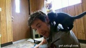 Five Ways Cats Foster Responsibility in Children