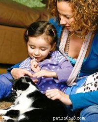 5 Fun and Safe Games for Kids and Cats to Play Together