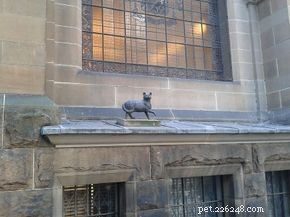 10 Historic Cats Who Captured the World