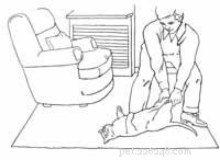 Managing Your Cat s Seizures: Quick, Safe Care Tips
