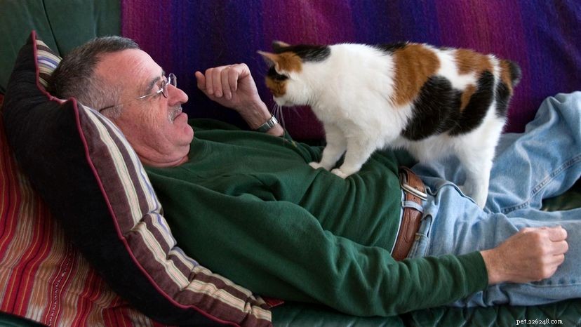Why Cats Knead: The Science Behind Their Affectionate Behavior