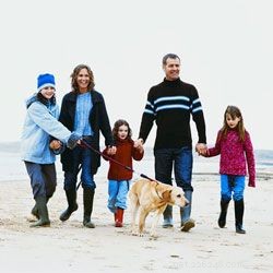 Top 10 Family Dog Breeds for Every Household