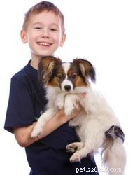 Top 10 Family Dog Breeds for Every Household