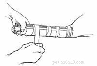 Emergency First Aid for Dogs: A Step‑by‑Step Guide for Pet Owners