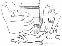 Emergency First Aid for Dogs: A Step‑by‑Step Guide for Pet Owners