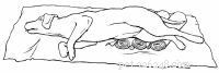 Emergency First Aid for Dogs: A Step‑by‑Step Guide for Pet Owners