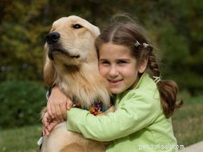 Do Dogs Truly Predict Epileptic Seizures? Insights & Evidence