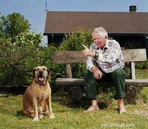 How Many Words Can Dogs Understand? Uncovering Their Remarkable Language Skills
