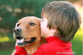 Older Dogs and Young Children: Ensuring Safe, Fulfilling Relationships