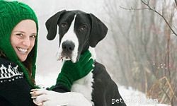5 Gentle Giant Family Dogs: The Best Big Breeds for Loving Homes