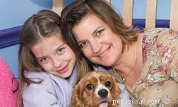 Top 5 Medium-Sized Dogs for Family Life