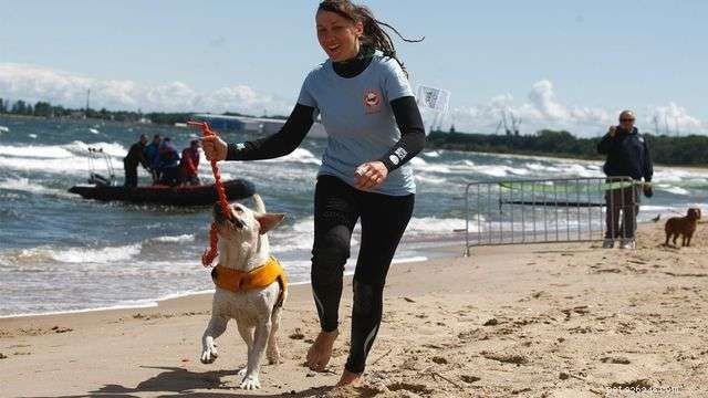 Poland’s 2nd Water Rescue Dog Cup: Heroes of the Baltic Sea