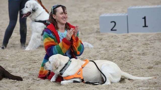 Poland’s 2nd Water Rescue Dog Cup: Heroes of the Baltic Sea